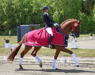 Bettina Jaeger on Rosebank VH at the 2023 CDN Billund :: Photo © Ridehesten