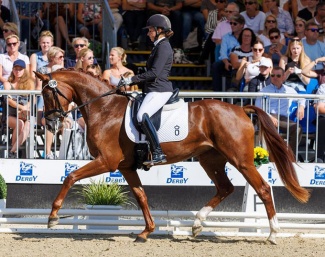 Marbella (by Foundation x Fürst Romancier) under Veronika Steinhof  at the 2022 Bundeschampionate :: Photo © Stefan Lafrentz
