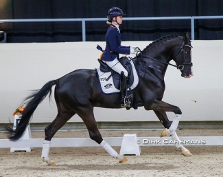 Maxime van der Vlist and Nirvano at the 2022 KWPN Stallion Licensing show :: Photo © Dirk Caremans