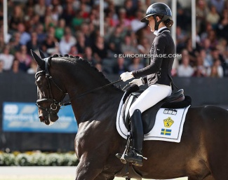 Moretti Weltino (SWB, by Dante Weltino x Master) at the 2022 World Young Horse Championships :: Photo © Astrid Appels