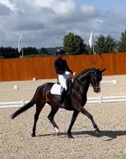 Maxime Collard on Fiadora Applicat-Prazan at the selection trial in Le Mans :: Photo © private