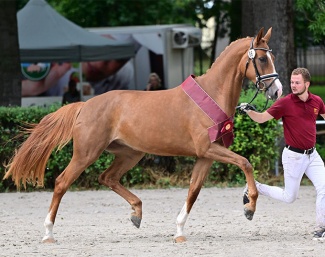 Elisabeth (by Escamillo x Quaterback x Cartier)  :: Photo © Björn Schröder