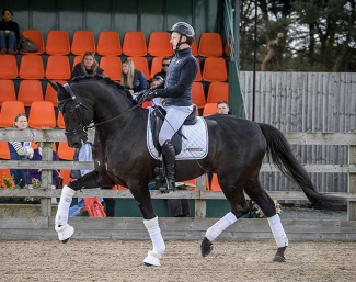 Louis Cunningham on Morricone III at the stallion show in the U.K. :: Photo © Eva Maria Broomer