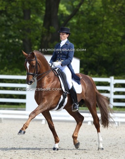 Lesley Peyton-Gilbert on Garuda K at the 2013 CDI Roosendaal :: Photo © Astrid Appels