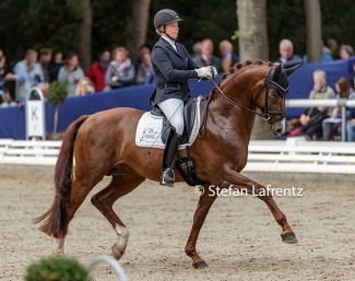Ann-Christin Wienkamp and Velvet at the 2019 Bundeschampionate :: Photo © Stefan Lafrentz