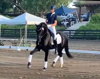 Inga Hamilton test-riding Serupgaards Cezanne at the performance test at Pollyrich farm in Solvang, CA.