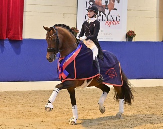 Dinja van Liere and Vaderland OLD at the 2024 Oldenburg Stallion Licensing :: Photo © OLD Art