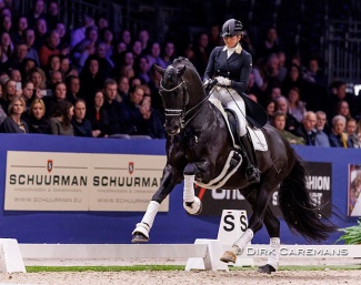 Emmelie Scholtens and Desperado at the 2024 KWPN Stallion Licensing where Desperado was proclaimed Keur :: Photo © Dirk Caremans