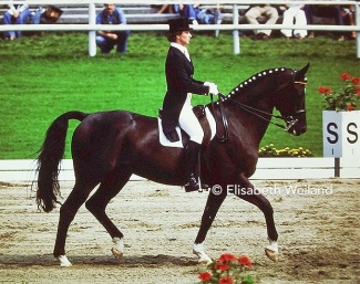 Gabriela Grillo and Ultimo at the 1977 European Championships :: Photos © Elisabeth Weiland