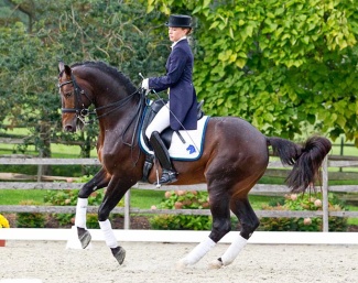 Florianus at Iron Spring Farm in the USA :: Photo © Terri Miller