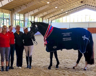 Segreto at the 2024 North American Stallion Sport Test for East coast based stallions :: Photo © private