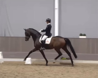 Beatrice Arturi on Sir Gribaldi in the sport test