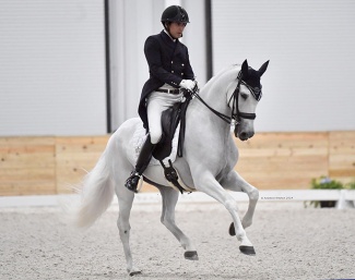 Jorge Arauz and Cantinero Los Encinos competing at the World Equestrian Center in Ocala :: Photo © Andrew Ryback
