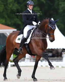 Woodlander Dornröschen at the 2012 CDI Compiegne :: Photo © Astrid Appels