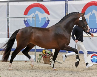 Spike (by Las Vegas x Hennessy) :: Photo © Sandra Nieuwendijk