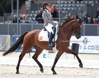 Dutch Dinja van Liere on the KWPN bred Leonidas at the 2021 WCYH in Verden :: Photo © Astrid Appels