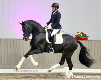 Manuel Springhetti on Diamantenglanz in March 2023 :: Photo © Thoms Lehmann