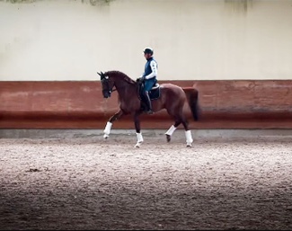 Antonio Sala on Prince Vince WM 