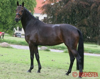 Romanik :: Photo © Ridehesten