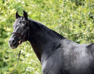 Welcome Sympatico :: Photo © Miléna Le Guen