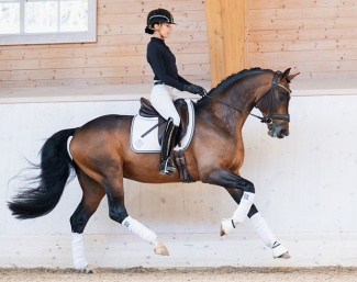 Caroline Darcourt on Devin Franco GJ :: Photo © Lovsta Stuteri