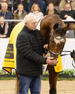Dorina celebrated as Hanoverian Mare of the Year 2025 at the Hanoverian stallion licensing in Verden :: Photo © Hannoveraner Verband