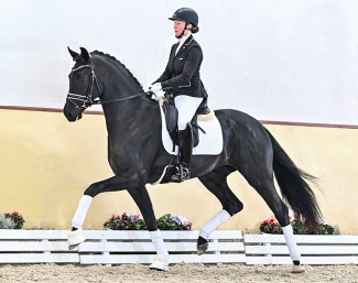 First Magic (2021, by For Romance x Desperado)