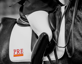 Photo © Lily Forado