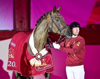 Floricello proclaimed elite sire at the 2026 DSP Stallion Licensing in Munich :: Photo © Björn Schroeder.