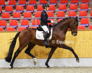 Santiago Damil and Valerian at the shortened suitability test in Vechta :: Photo © Equitaris