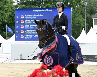 Alina Schneider on Pommery Look at the 2025 Oldenburg Young Horse Championships in Rastede Photo © Kiki Beelitz for GOV