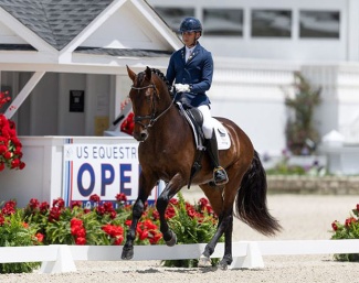 Antonio José Crespín López on the American bred PRE Santiago HGF at the CDI Ocala :: Photo © Lily Forado
