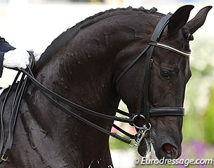 The Double Bridle An Instrument Of Understanding