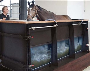 Animal Health Trust Needs Your Help With Survey On Equine Water Treadmills