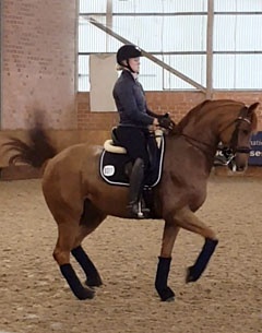 Malin Nilsson schooling Chupa Chup AS at the 2017 CDN Ankum