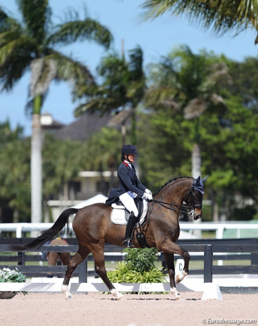 Beautiful photography in the national show ring at the Global Dressage Festival :: Photo © Astrid Appels