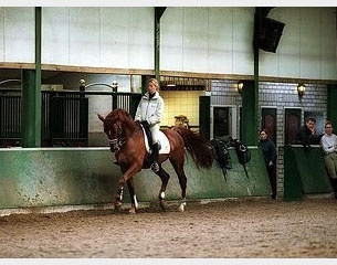 Anky van Grunsven schooling Gestion Janssen :: Photo © Dirk Caremans