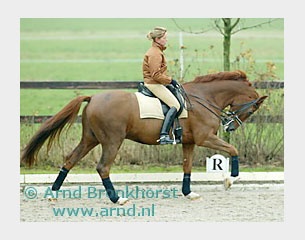 Anky van Grunsven schooling Idool :: Photo © Arnd Bronkhorst