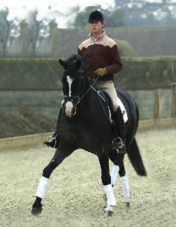 Carl Hester and Negretto