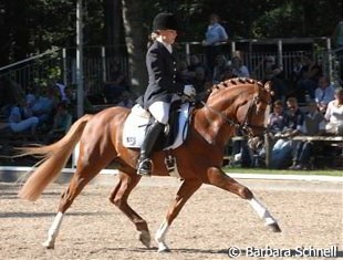 Voyager at the 2006 Bundeschampionate :: Photo © Barbara Schnell