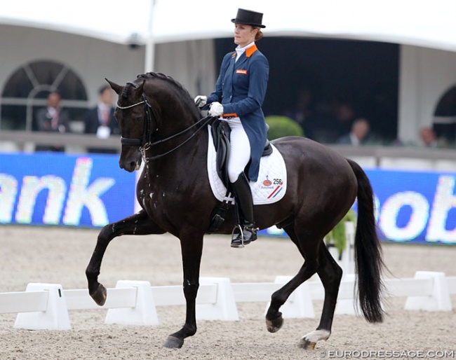 Madeleine Witte-Vrees and Wynton at the 2013 CDIO Rotterdam :: Photo © Astrid Appels