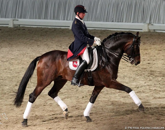 Mike Habermann and Don Darius at a stallion show in 2014 :: Photo © Petra Kerschbaum