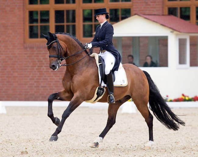 Wibke Bruns and Biedermeier at the 2015 CDI Cappeln :: Photo © Michael Rzepa