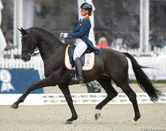 Kirsten Beckers and Westpoint at the 2015 CDIO Hagen :: Photo © Dirk Caremans