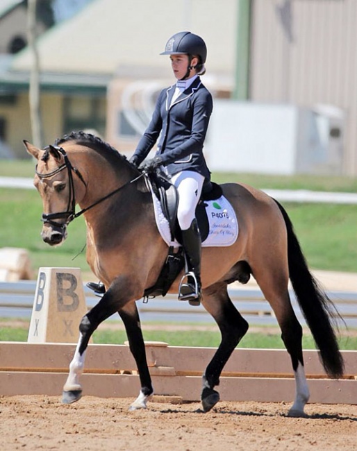 Jasmine Haynes on Steendieks Champ of Glory