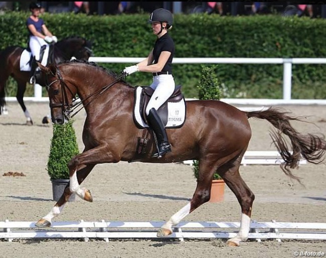 Hedda Droege and Ernesto at the 2016 German WCYH Selection Trial in Warendorf :: Photo © LL-foto