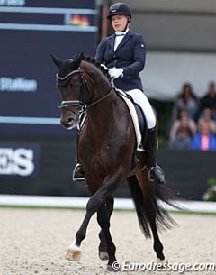 Sir Olli at the 2016 World Young Horse Championships :: Photo © Astrid Appels