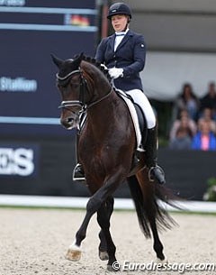 Sir Olli at the 2016 World Young Horse Championships :: Photo © Astrid Appels