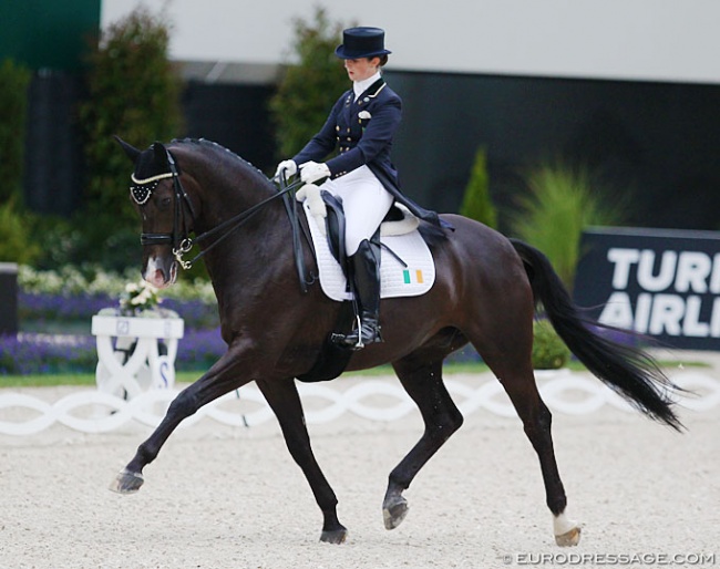 Judy Reynolds and Vancouver K at the 2017 CDIO Aachen :: Photo © Astrid Appels