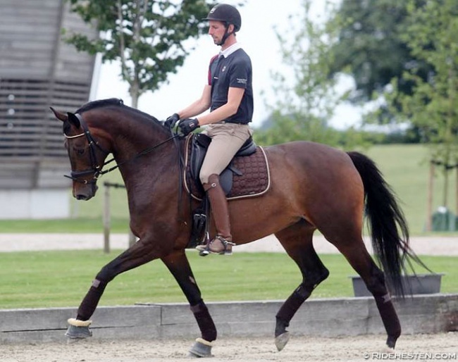 Dennis Fisker on Julianelyst's Falkendaune Macohl (by Furstenball x Schwadroneur) :: Photo © Ridehesten